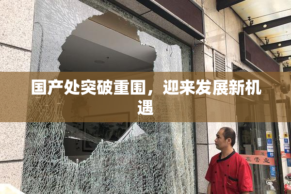 国产处突破重围，迎来发展新机遇