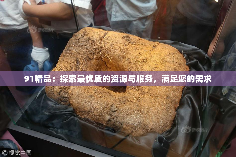 91精品：探索最优质的资源与服务，满足您的需求