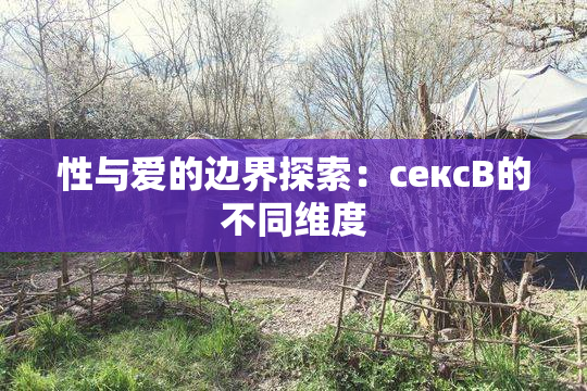 性与爱的边界探索：сексB的不同维度