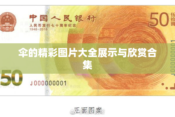 伞的精彩图片大全展示与欣赏合集