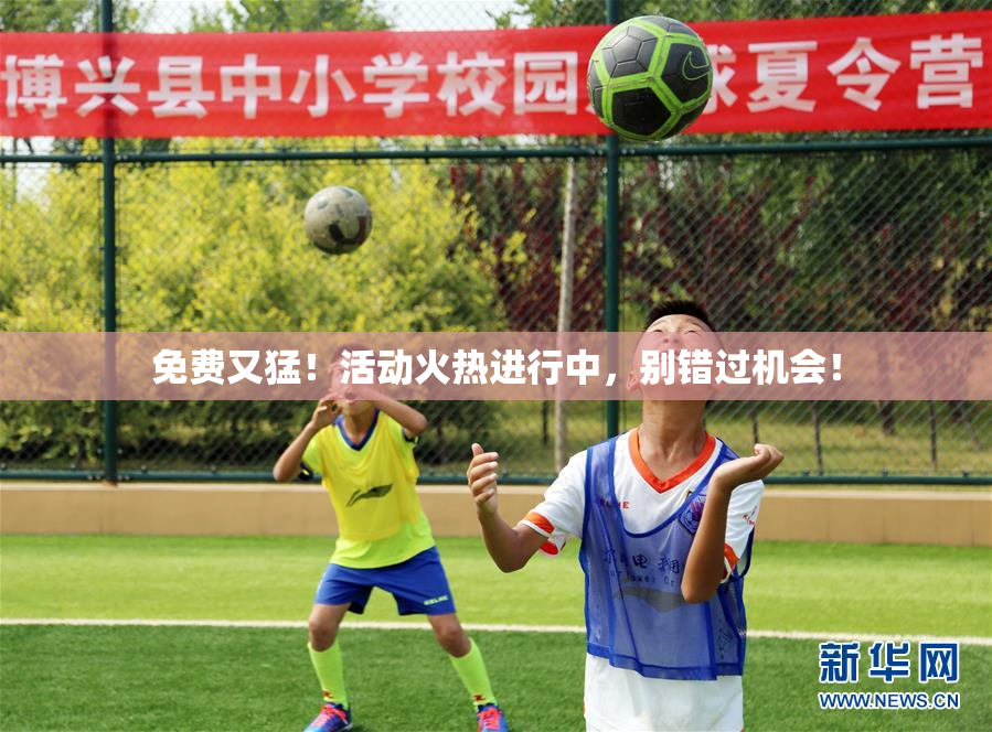 免费又猛！活动火热进行中，别错过机会！