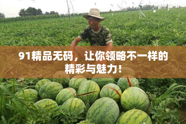 91精品无码，让你领略不一样的精彩与魅力！