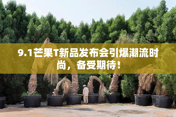 9.1芒果T新品发布会引爆潮流时尚，备受期待！