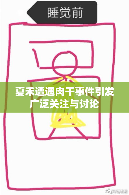 夏禾遭遇肉干事件引发广泛关注与讨论