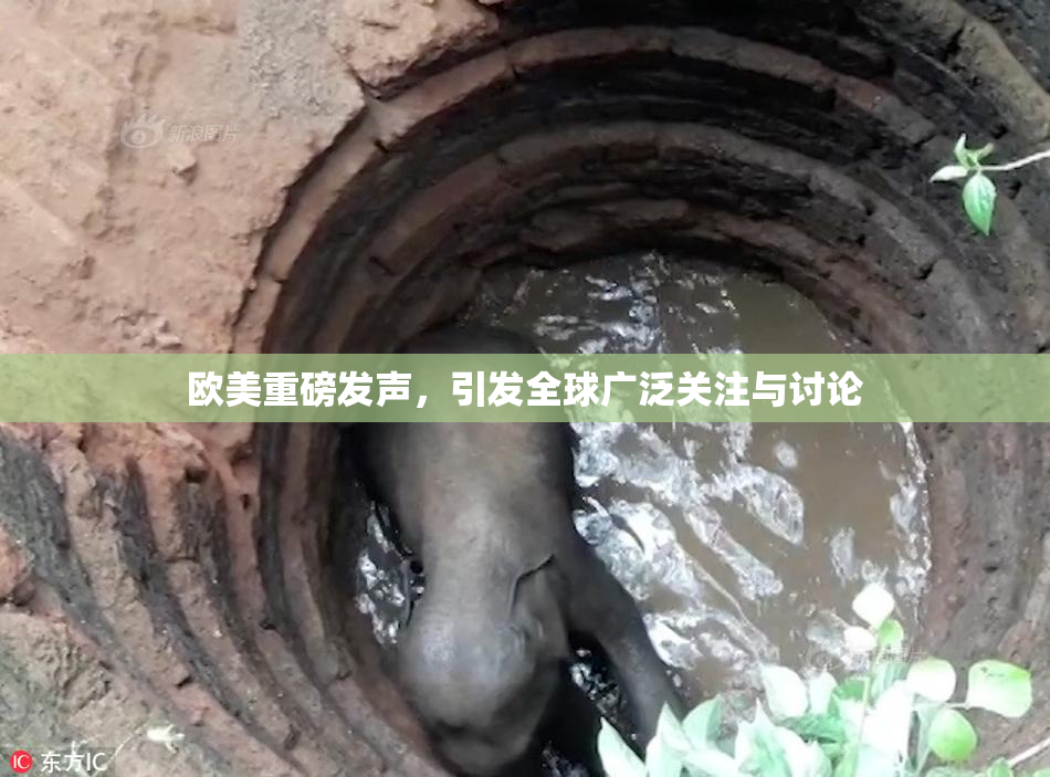 欧美重磅发声，引发全球广泛关注与讨论