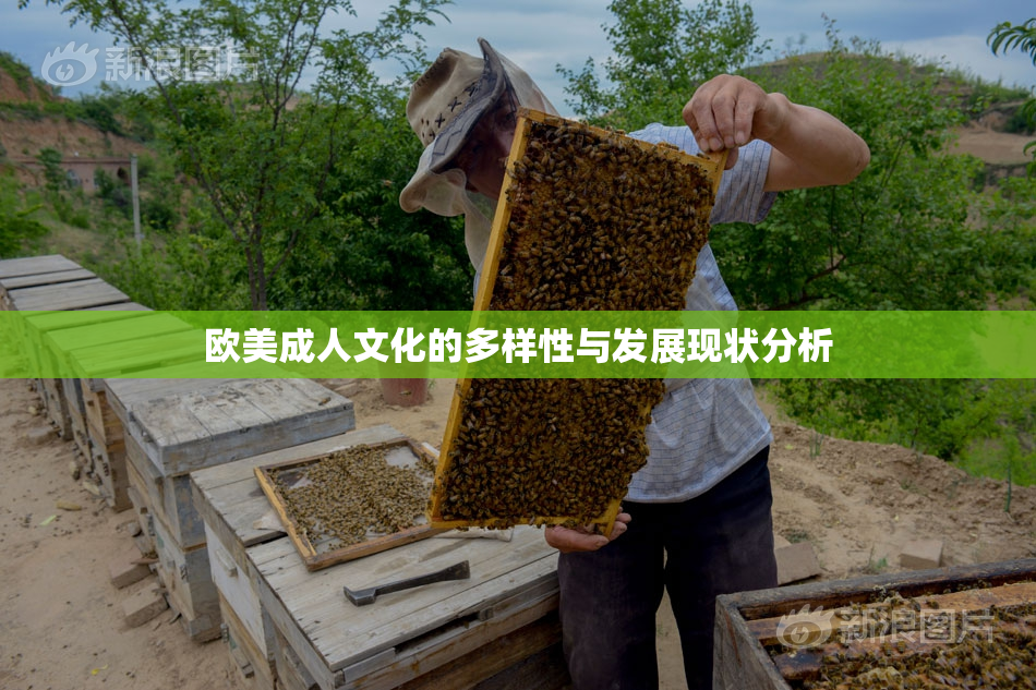 欧美成人文化的多样性与发展现状分析