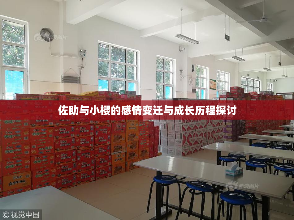 佐助与小樱的感情变迁与成长历程探讨