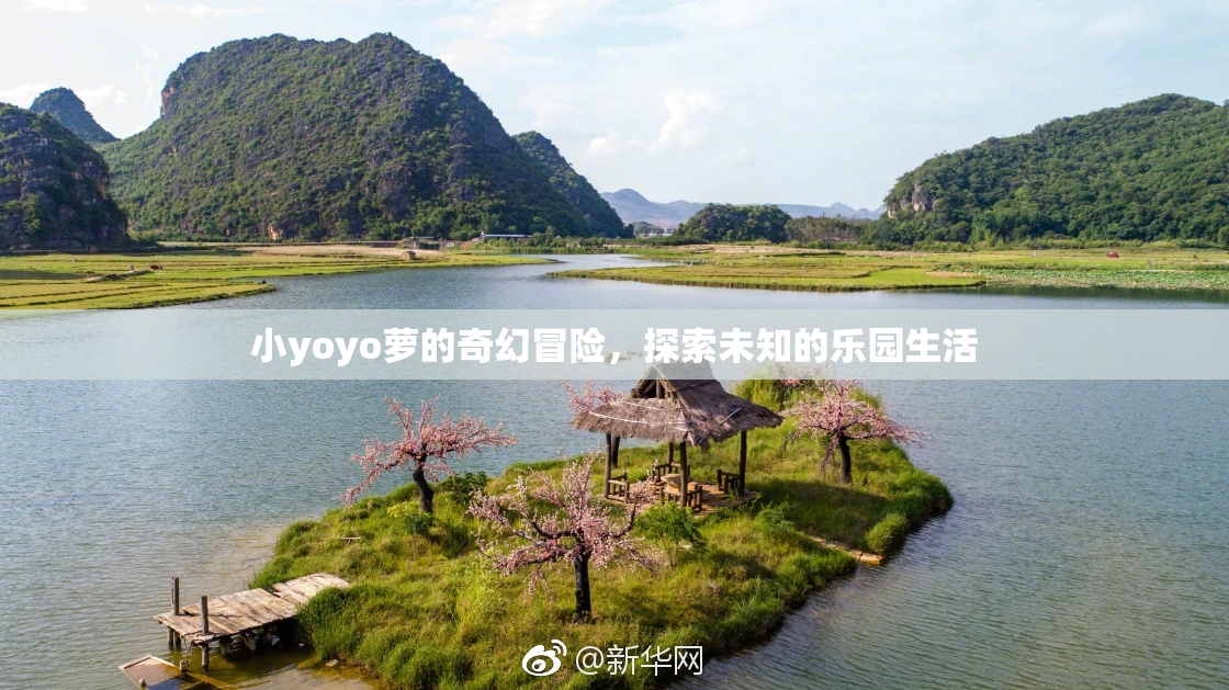 小yoyo萝的奇幻冒险，探索未知的乐园生活
