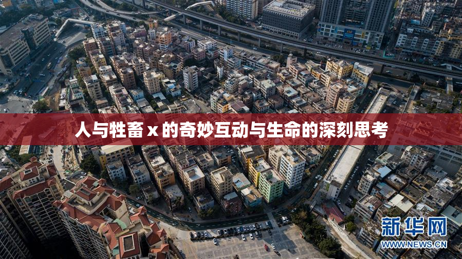 人与牲畜ⅹ的奇妙互动与生命的深刻思考