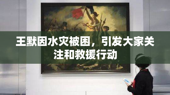 王默因水灾被困，引发大家关注和救援行动