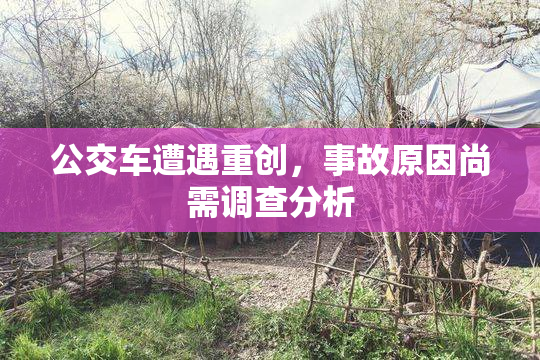 公交车遭遇重创，事故原因尚需调查分析