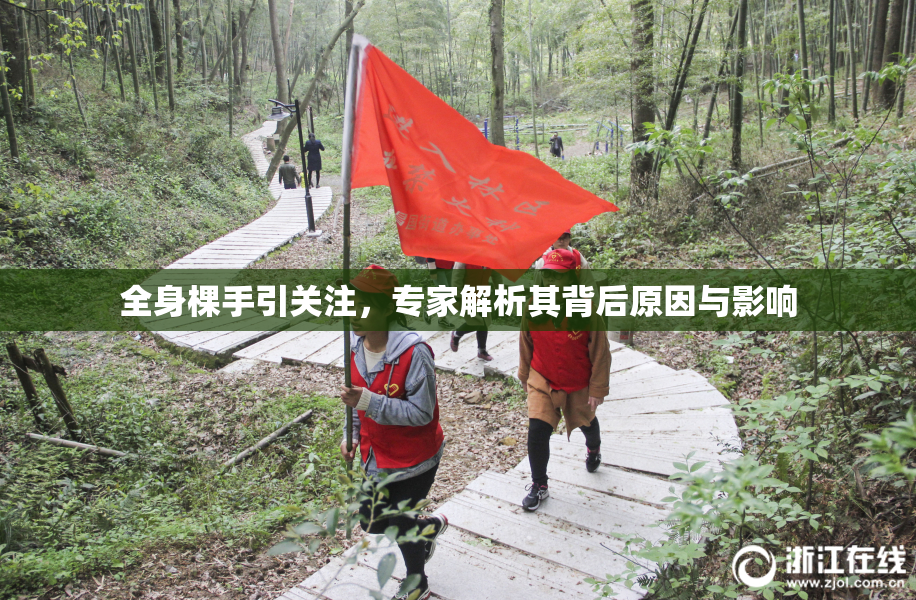全身棵手引关注，专家解析其背后原因与影响