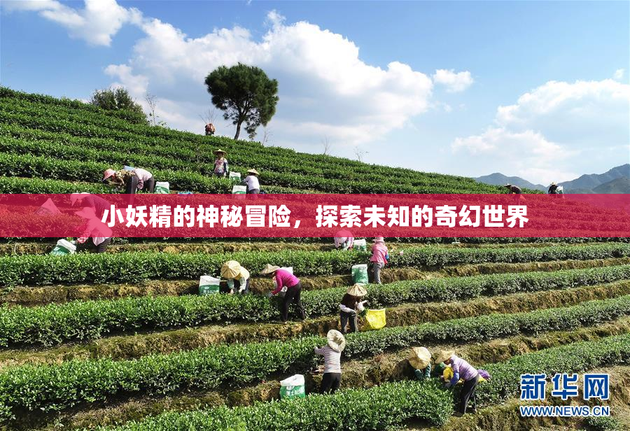 小妖精的神秘冒险，探索未知的奇幻世界