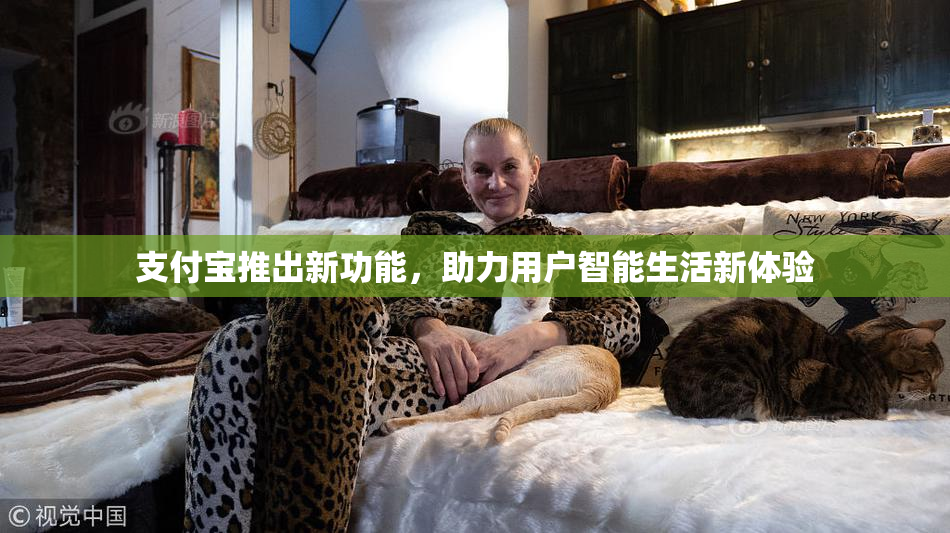 支付宝推出新功能，助力用户智能生活新体验