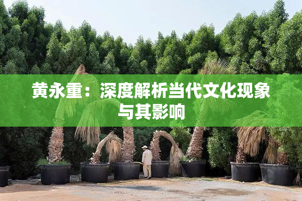 黄永重：深度解析当代文化现象与其影响