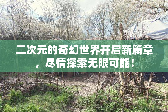 二次元的奇幻世界开启新篇章，尽情探索无限可能！