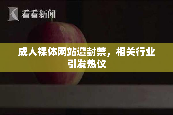 成人裸体网站遭封禁，相关行业引发热议