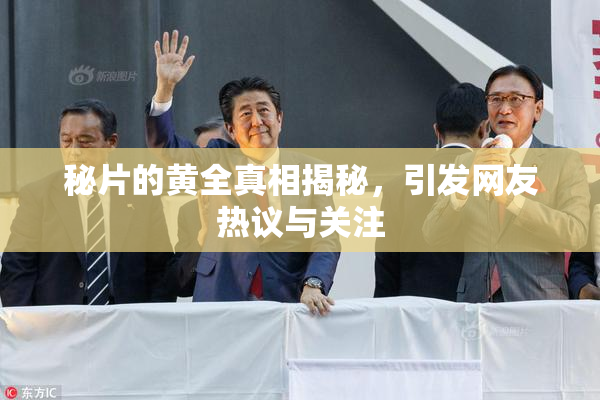 秘片的黄全真相揭秘，引发网友热议与关注