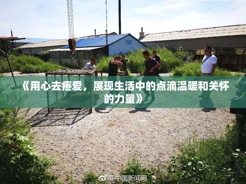 《用心去疼爱，展现生活中的点滴温暖和关怀的力量》