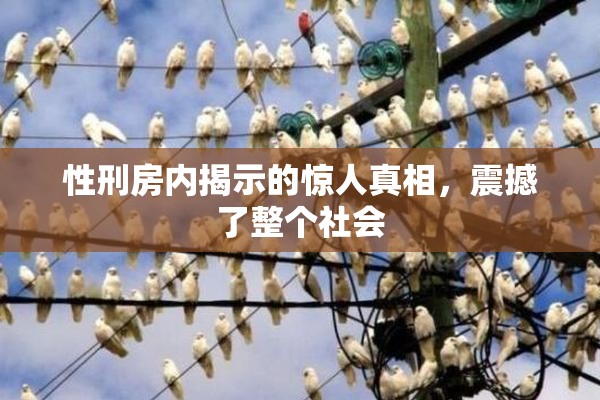 性刑房内揭示的惊人真相，震撼了整个社会