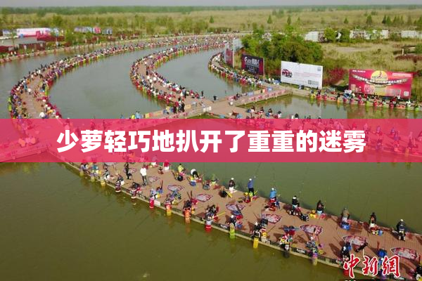 少萝轻巧地扒开了重重的迷雾