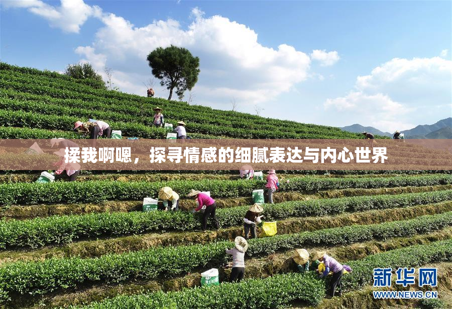 揉我啊嗯，探寻情感的细腻表达与内心世界