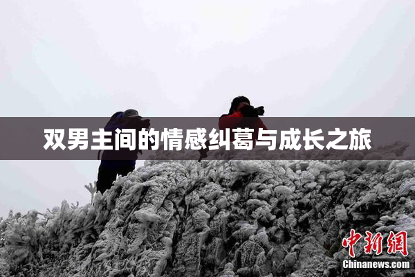 双男主间的情感纠葛与成长之旅