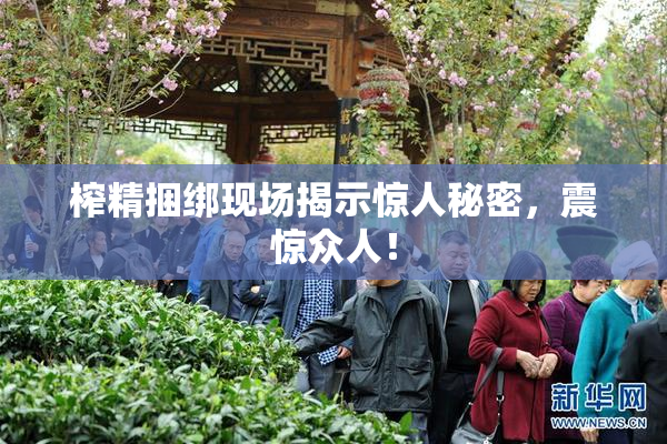 榨精捆绑现场揭示惊人秘密，震惊众人！