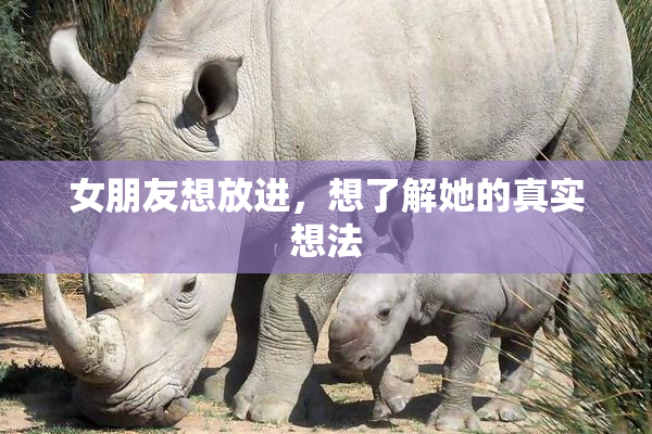 女朋友想放进，想了解她的真实想法
