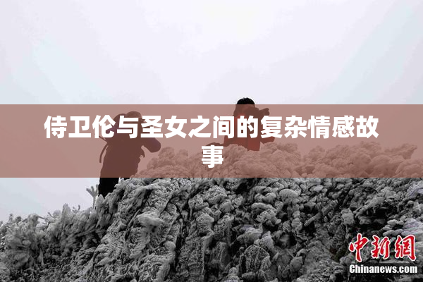 侍卫伦与圣女之间的复杂情感故事
