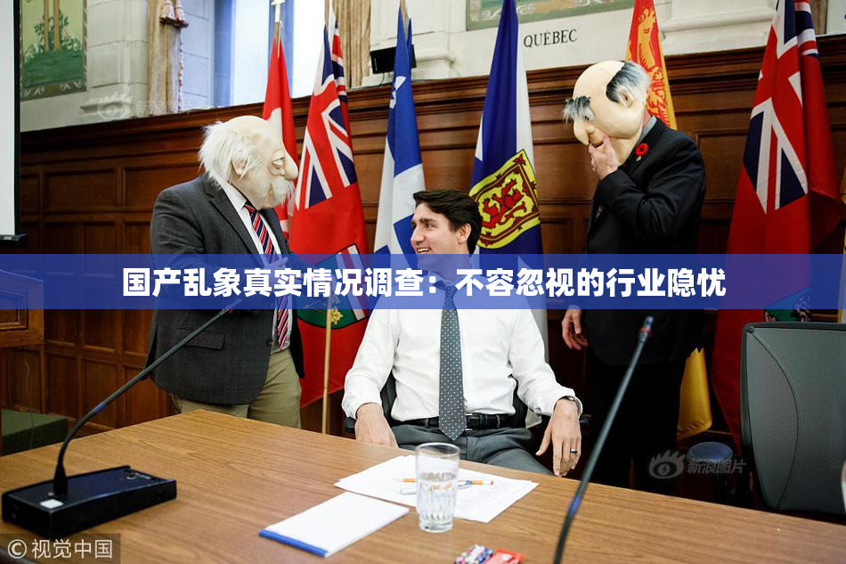 国产乱象真实情况调查：不容忽视的行业隐忧