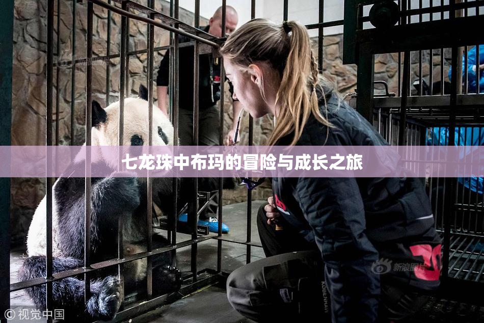 七龙珠中布玛的冒险与成长之旅