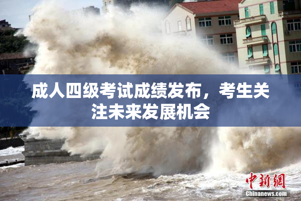 成人四级考试成绩发布，考生关注未来发展机会
