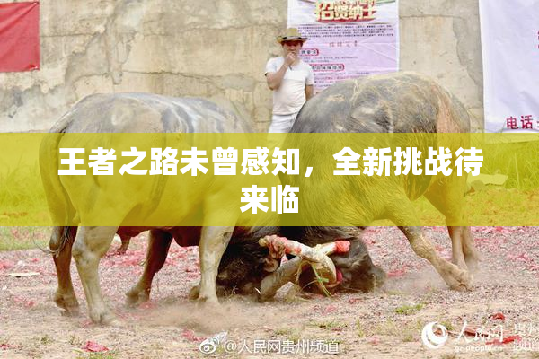 王者之路未曾感知，全新挑战待来临