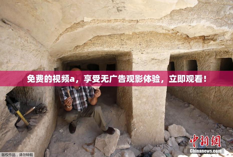 免费的视频a，享受无广告观影体验，立即观看！
