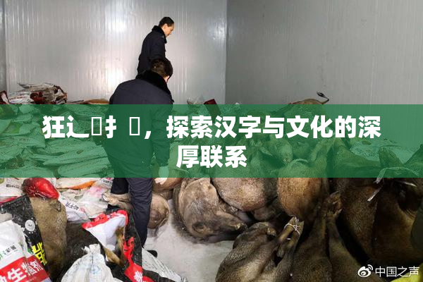 狂辶喿扌畐，探索汉字与文化的深厚联系