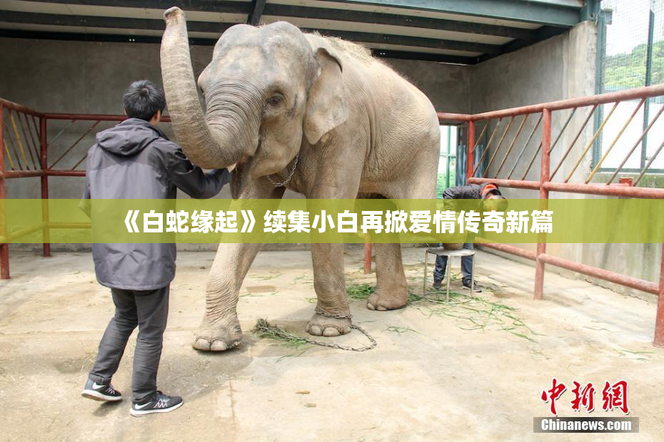 《白蛇缘起》续集小白再掀爱情传奇新篇