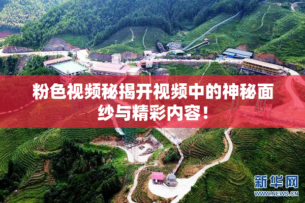 粉色视频秘揭开视频中的神秘面纱与精彩内容！