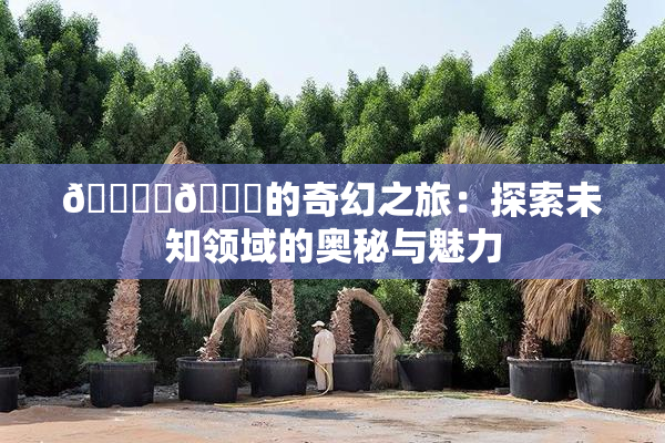 🔞‌🍌的奇幻之旅：探索未知领域的奥秘与魅力