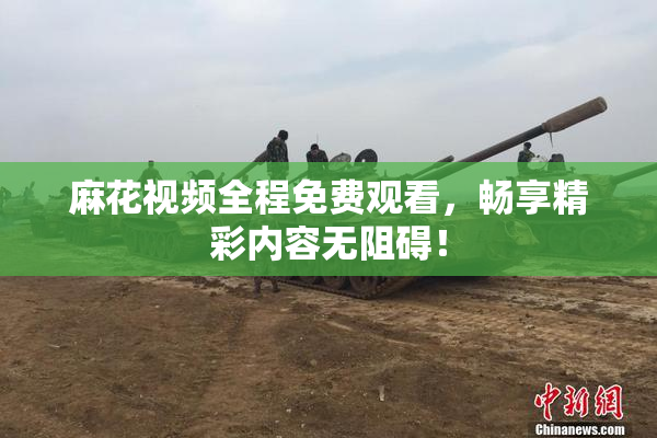 麻花视频全程免费观看，畅享精彩内容无阻碍！