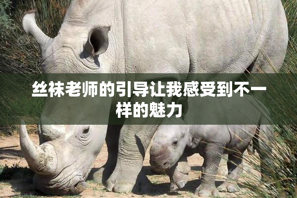 丝袜老师的引导让我感受到不一样的魅力