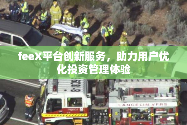 feeX平台创新服务，助力用户优化投资管理体验