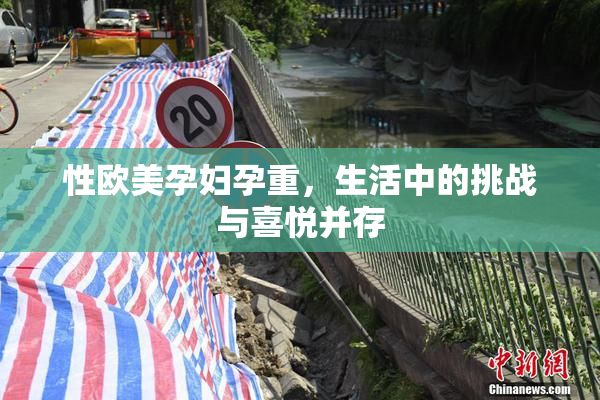 性欧美孕妇孕重，生活中的挑战与喜悦并存