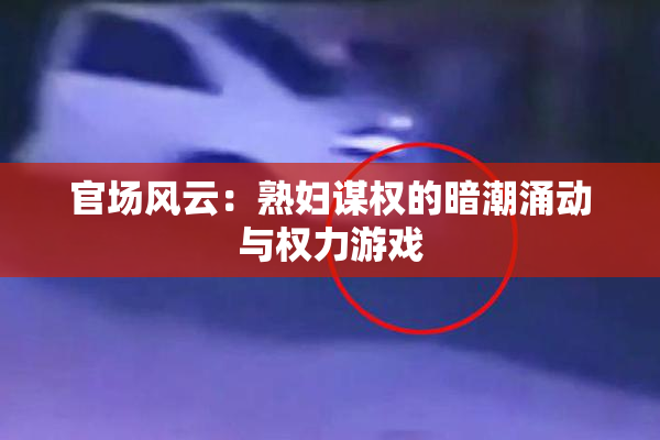 官场风云：熟妇谋权的暗潮涌动与权力游戏