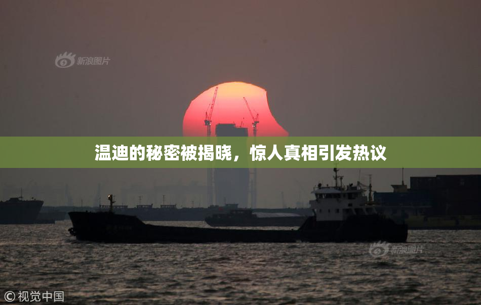 温迪的秘密被揭晓，惊人真相引发热议