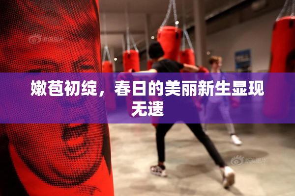 嫩苞初绽，春日的美丽新生显现无遗