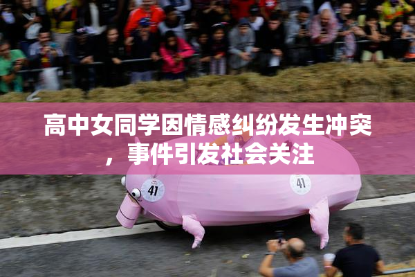 高中女同学因情感纠纷发生冲突，事件引发社会关注