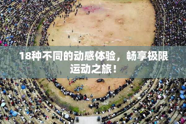 18种不同的动感体验，畅享极限运动之旅！