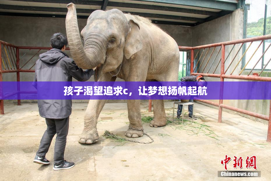 孩子渴望追求c，让梦想扬帆起航