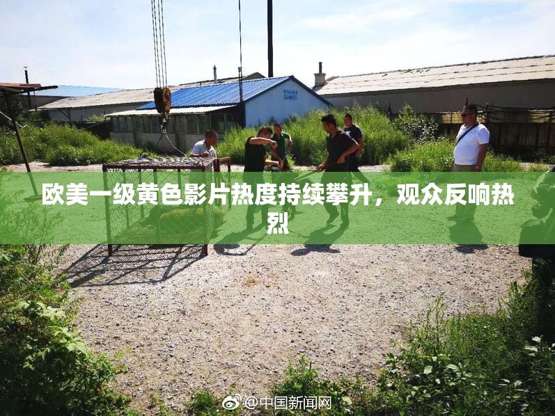 欧美一级黄色影片热度持续攀升，观众反响热烈